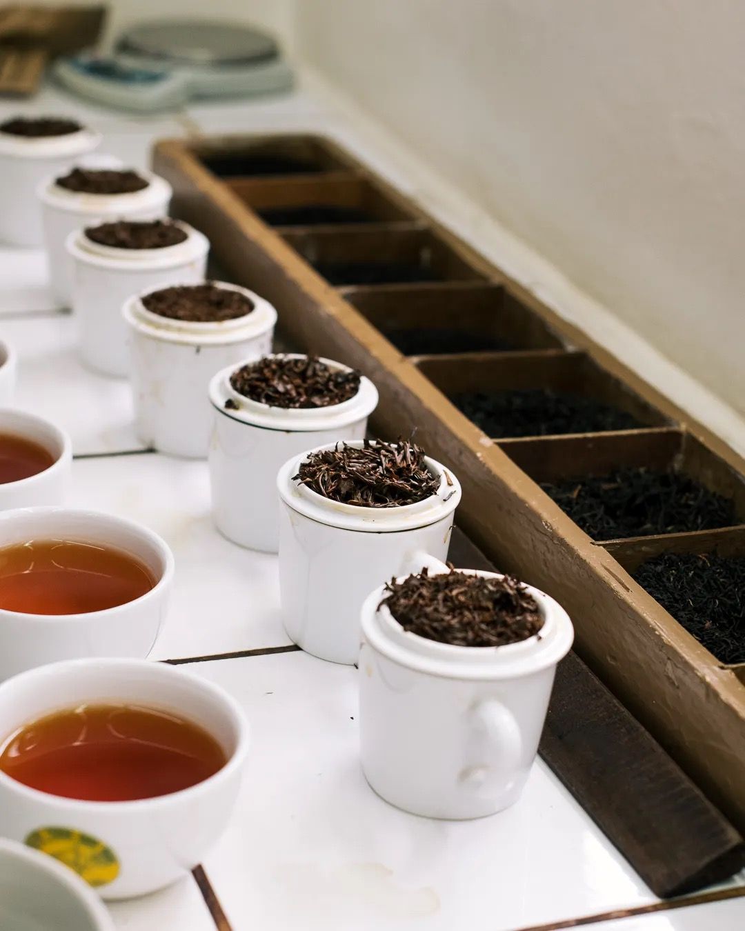 Tea tasting setup with cups and samples used for quality testing in local tea production.