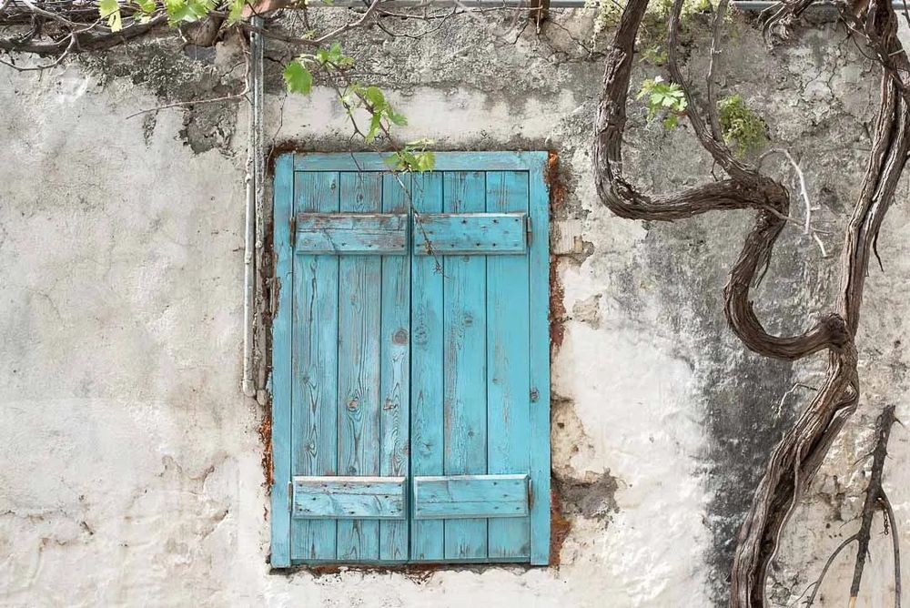 Old rustic wall with turquoise blue shuttered windows and climbing vines creates a charming Mediterranean atmosphere.