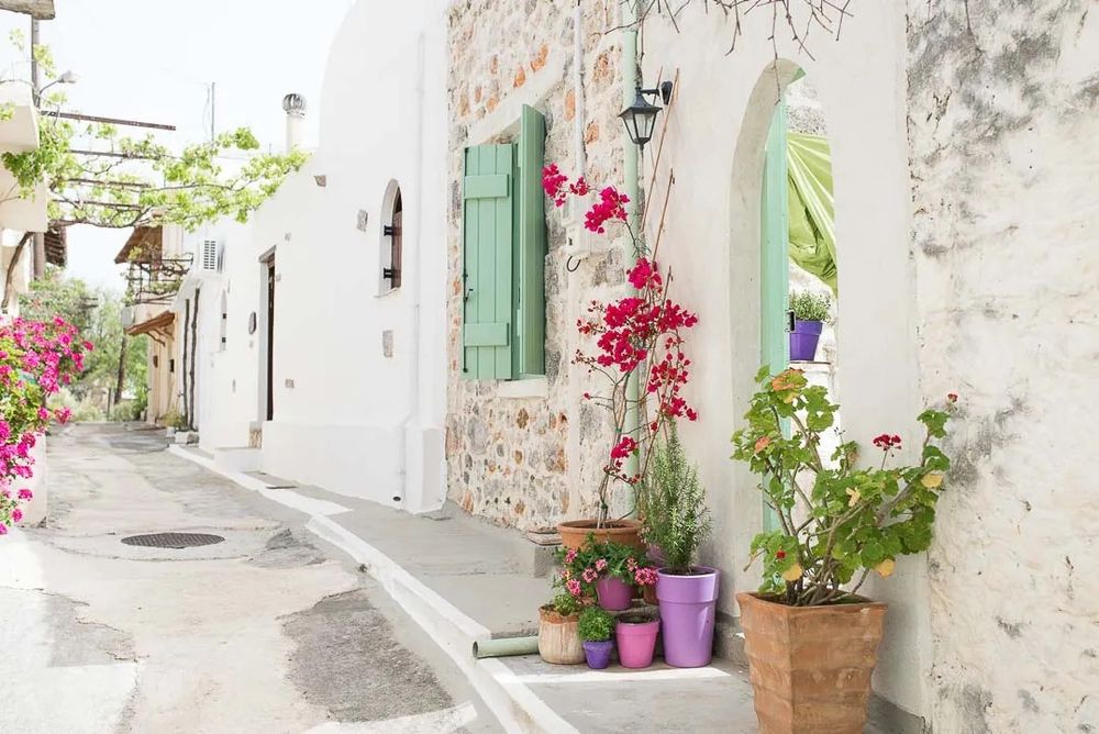 Narrow whitewashed street in Mediterranean village with pink bougainvillea flowers and green potted plants along walls.