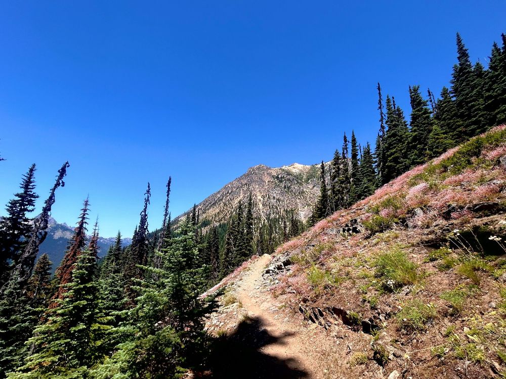 A winding mountain trail cuts through alpine terrain with evergreen trees and rocky peaks in the distance.
