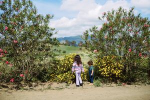 People walking along a scenic hillside path with blooming yellow wildflowers and green shrubs against a blue sky backdrop.