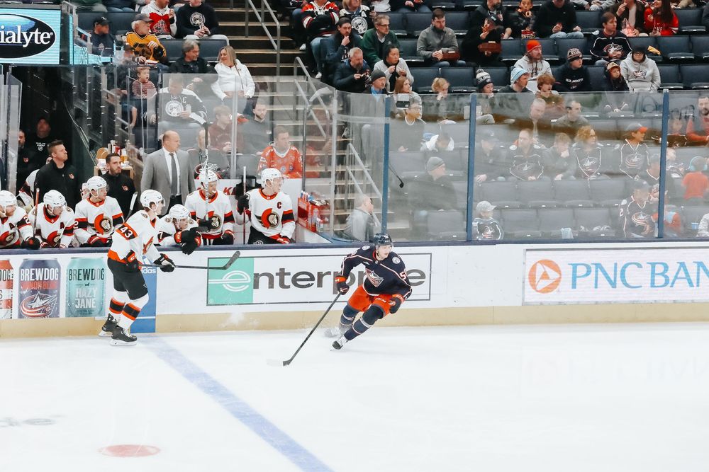 Hockey players battle for the puck during an NHL game with fans watching from the arena stands.