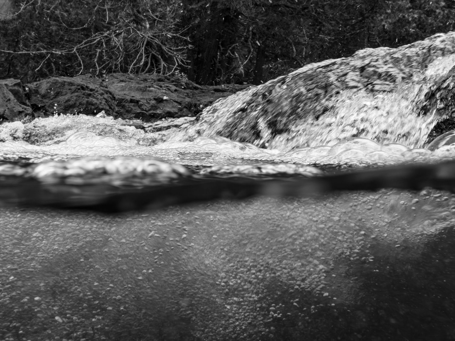 Long exposure black and white underwater landscape photography showing split above and below river in Minnesota, calming nature wall art.