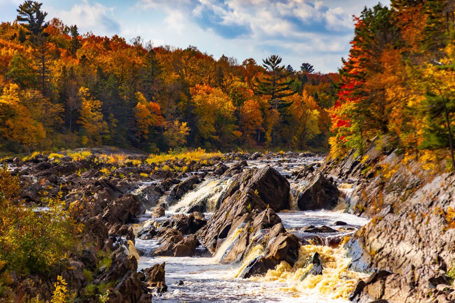 Long exposure fall waterfall landscape photography showing cascading water over mossy rocks in forests of Jay Cook, calming nature wall art.