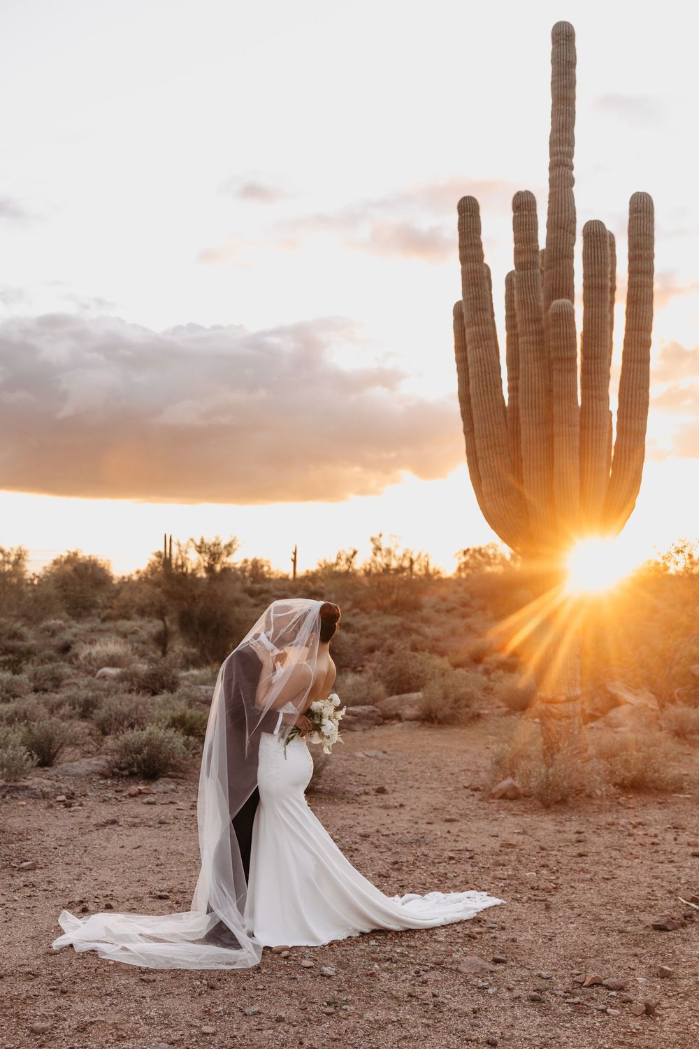 A bride in a flowing white dress and veil poses in the desert at sunset with a majestic saguaro cactus silhouetted behind her.