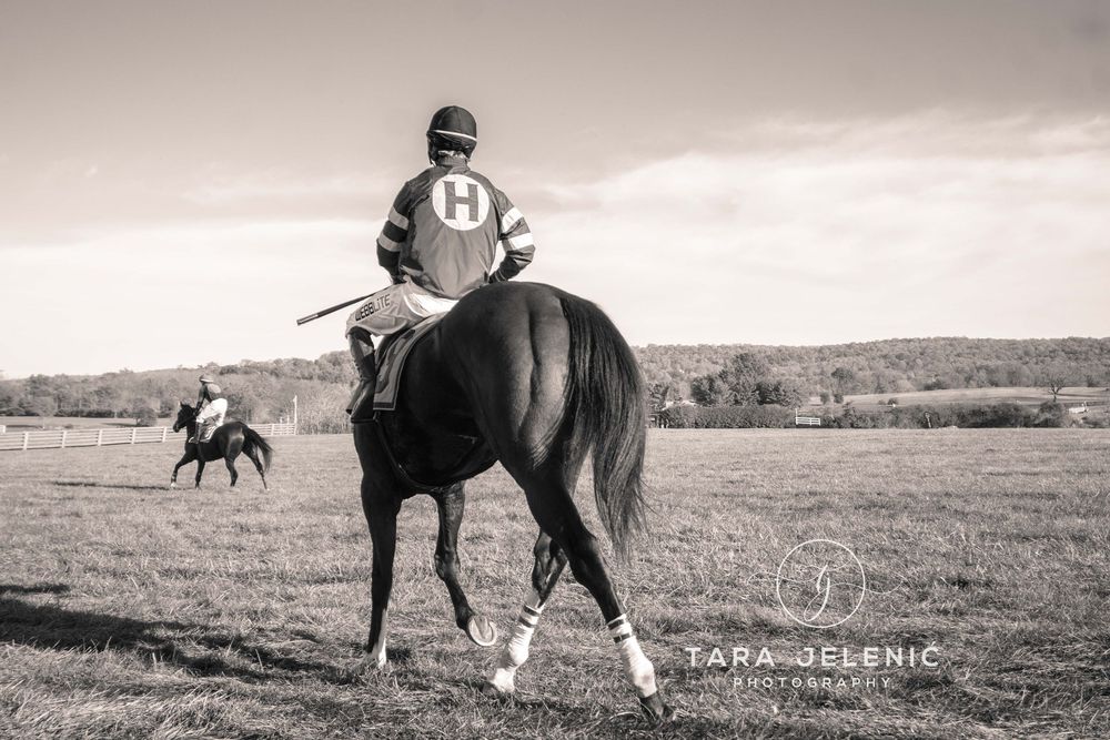 ©Images from Gold Cup Series ~ ©Before the Race No. 1
Tara Jelenić Photography
