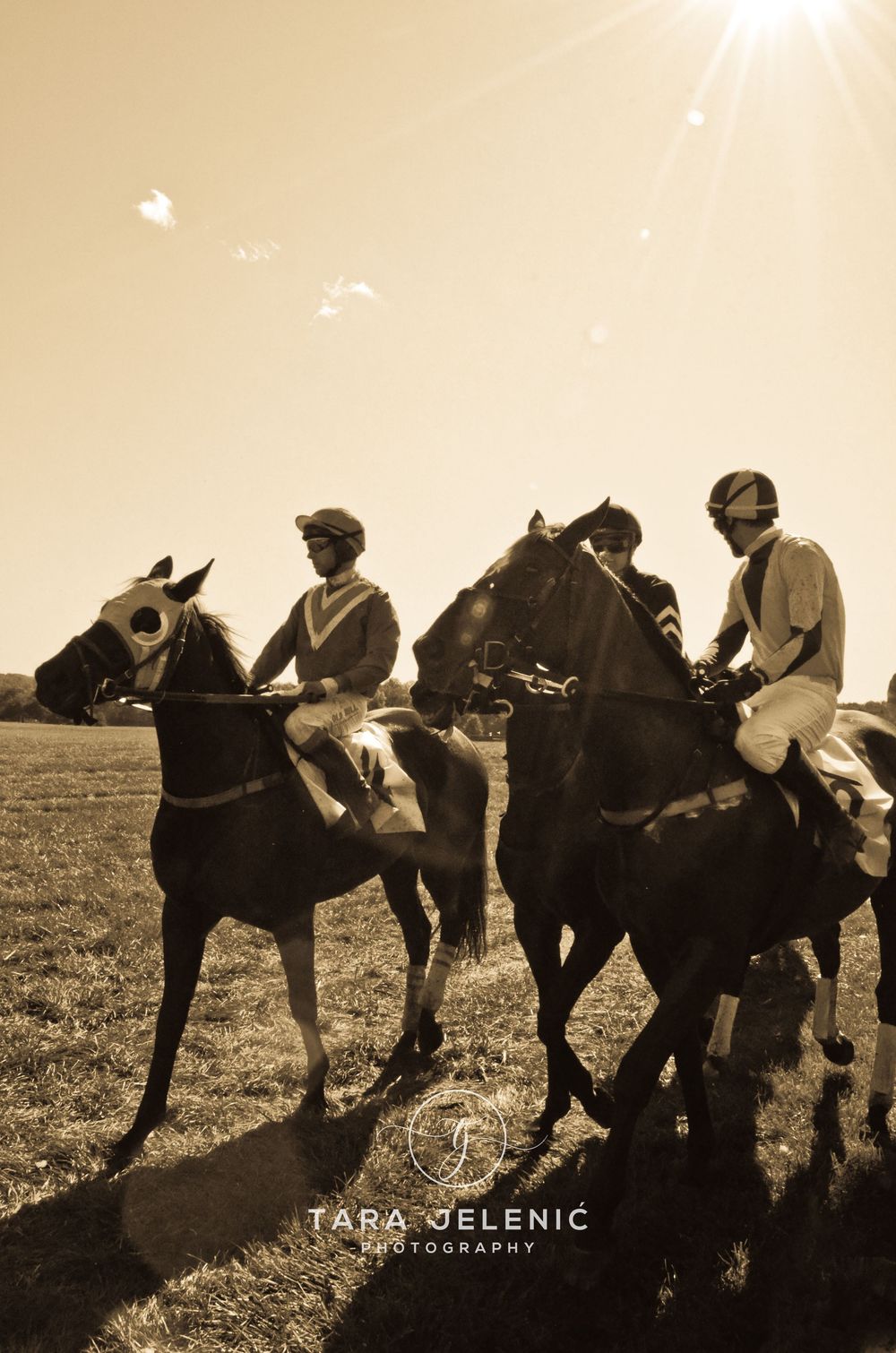 ©Images from Gold Cup Series ~ ©After the Race
Tara Jelenić Photography