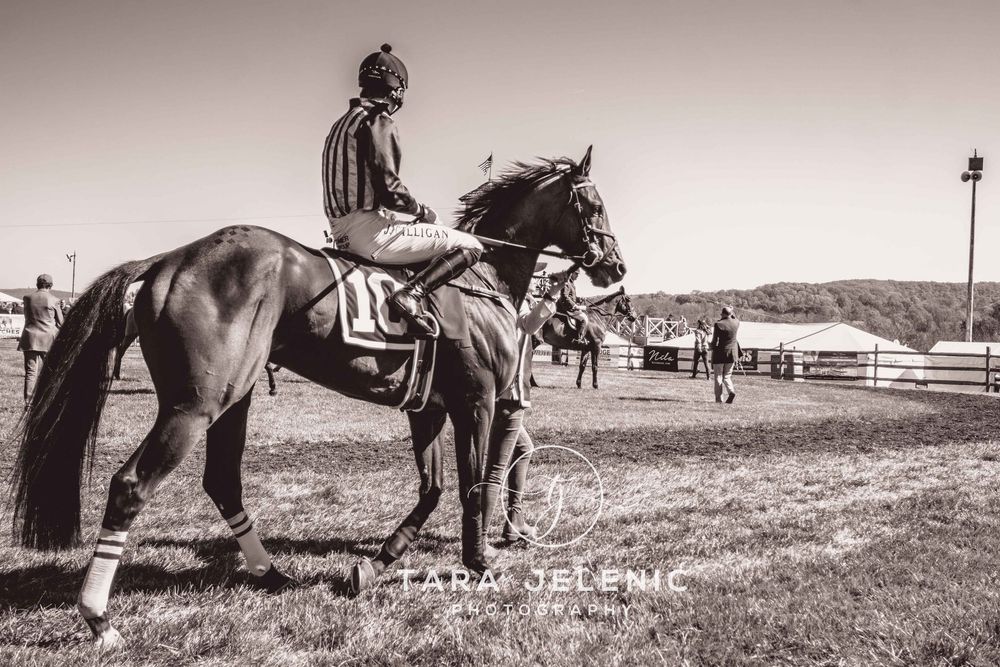 ©Images from Gold Cup Series ~ ©Before the Race No. 2
Tara Jelenić Photography