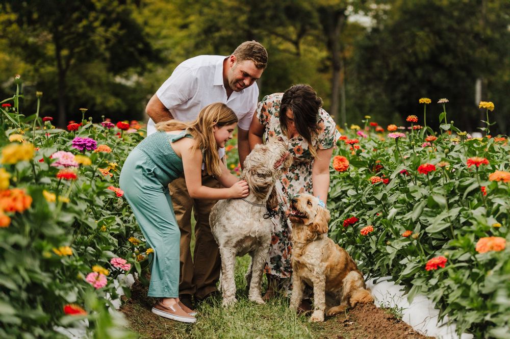 Family with man, woman, and girl petting two fluffy dogs among colorful zinnia flowers in a garden.