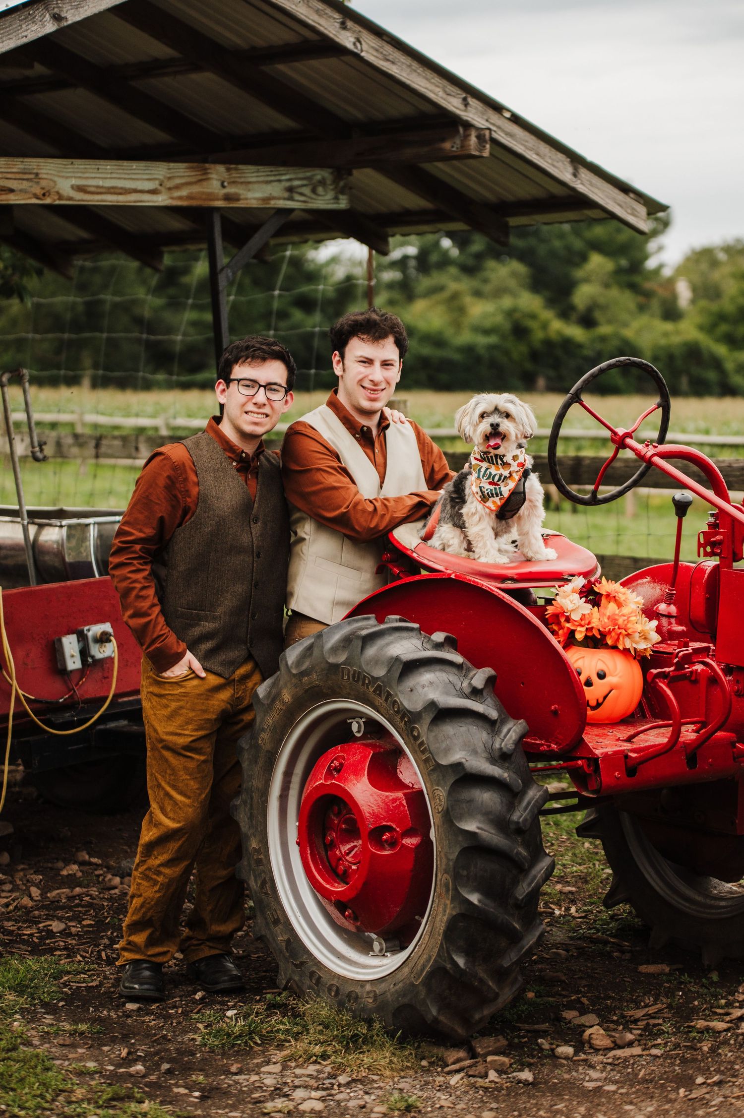Two men and a dog pose on a red vintage tractor at a fall farm, decorated with pumpkins and autumn foliage.