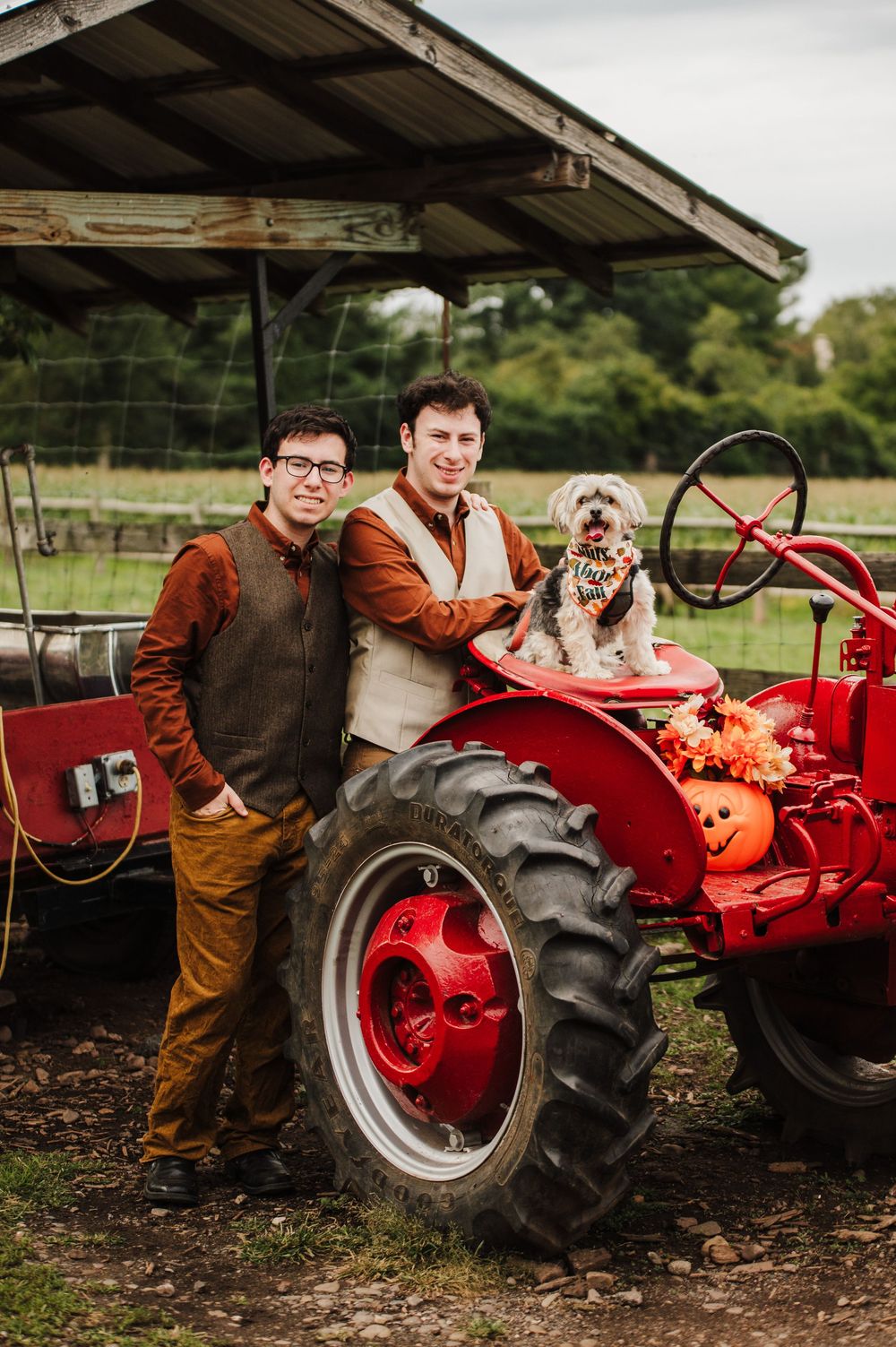 Two men and a dog pose on a red vintage tractor at a fall farm, decorated with pumpkins and autumn foliage.