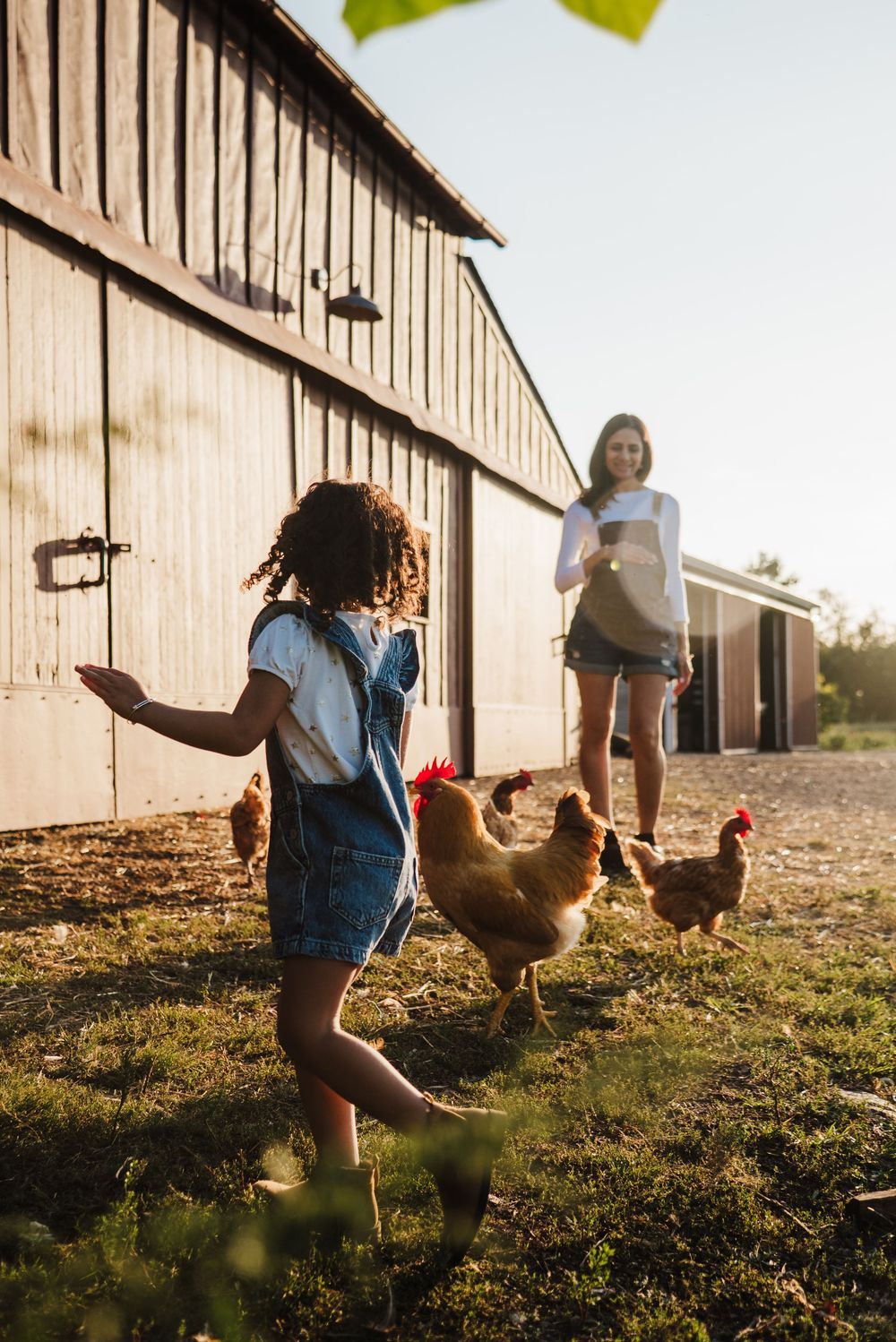 Girl in denim overalls feeding chickens near a barn while a woman watches on a sunny farm day.