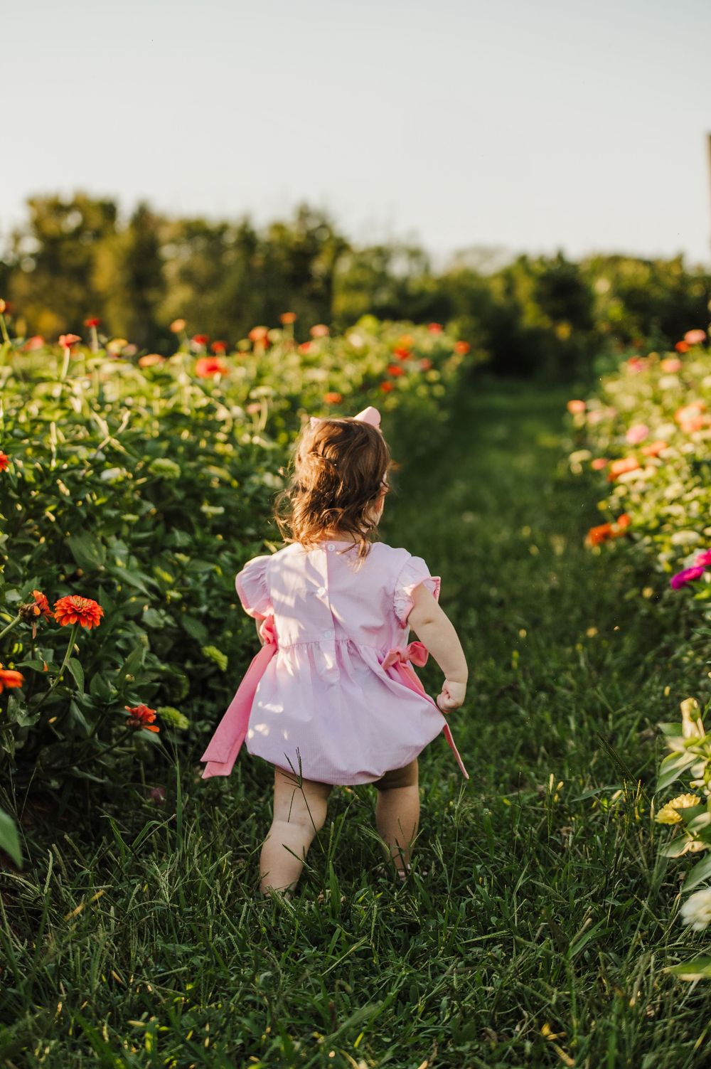 A toddler girl in a pink dress walks through a vibrant flower garden path on a sunny day.