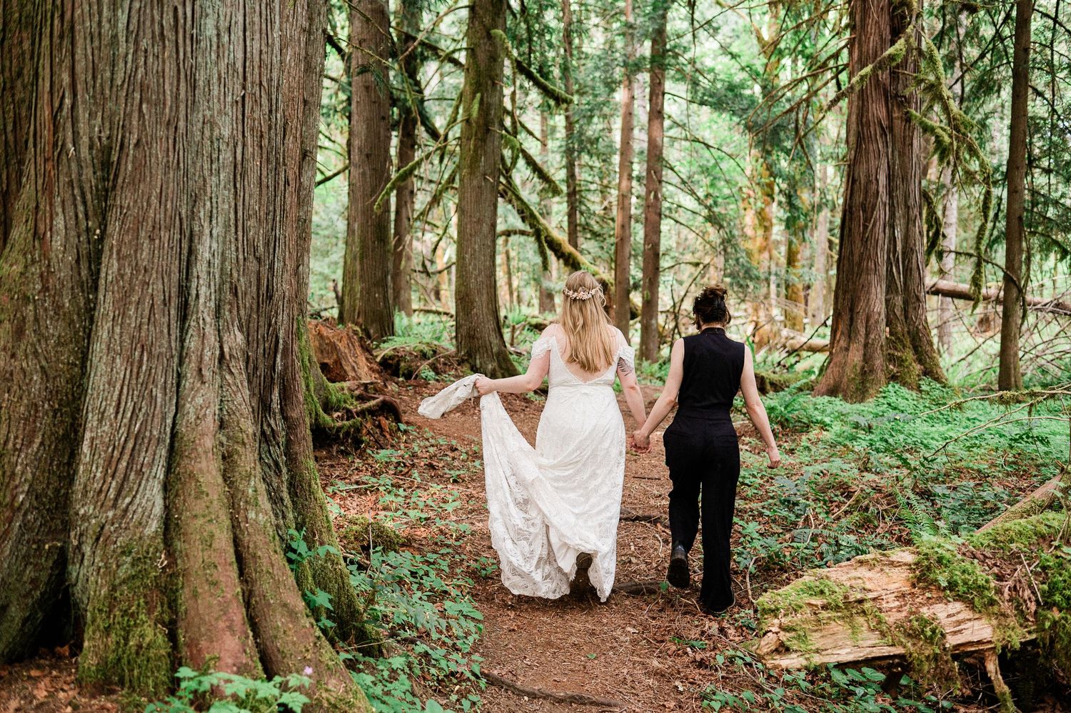 Two brides walking on a forest trail surrounded by towering cedar trees and lush green ferns in Washington.