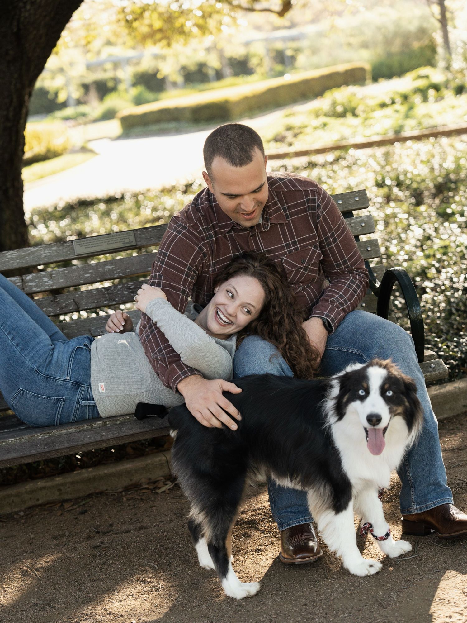 Playful moment with a border collie on a wooden bench surrounded by trees.