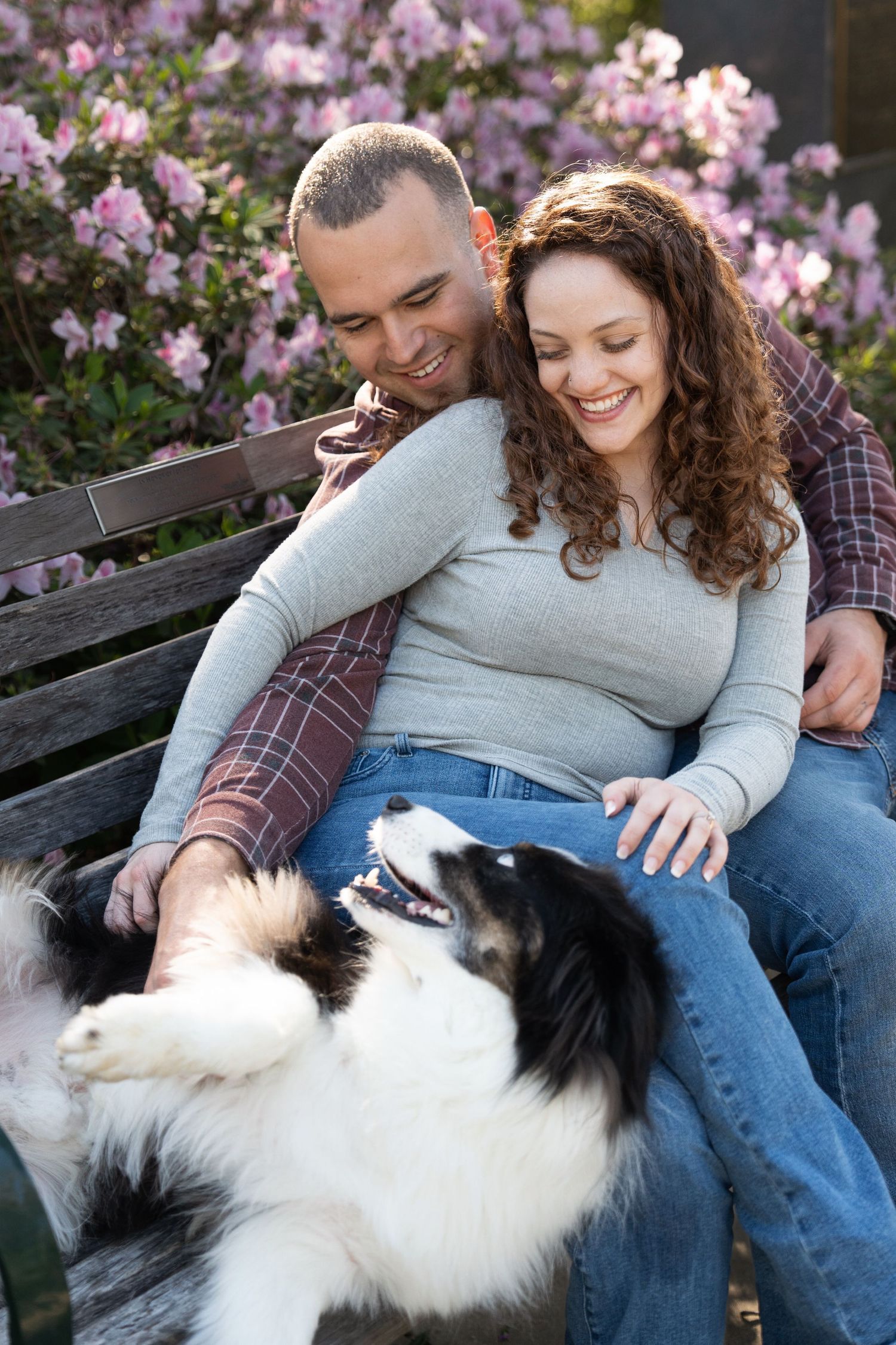 Couple relaxing on park bench with their border collie among blooming pink flowers.