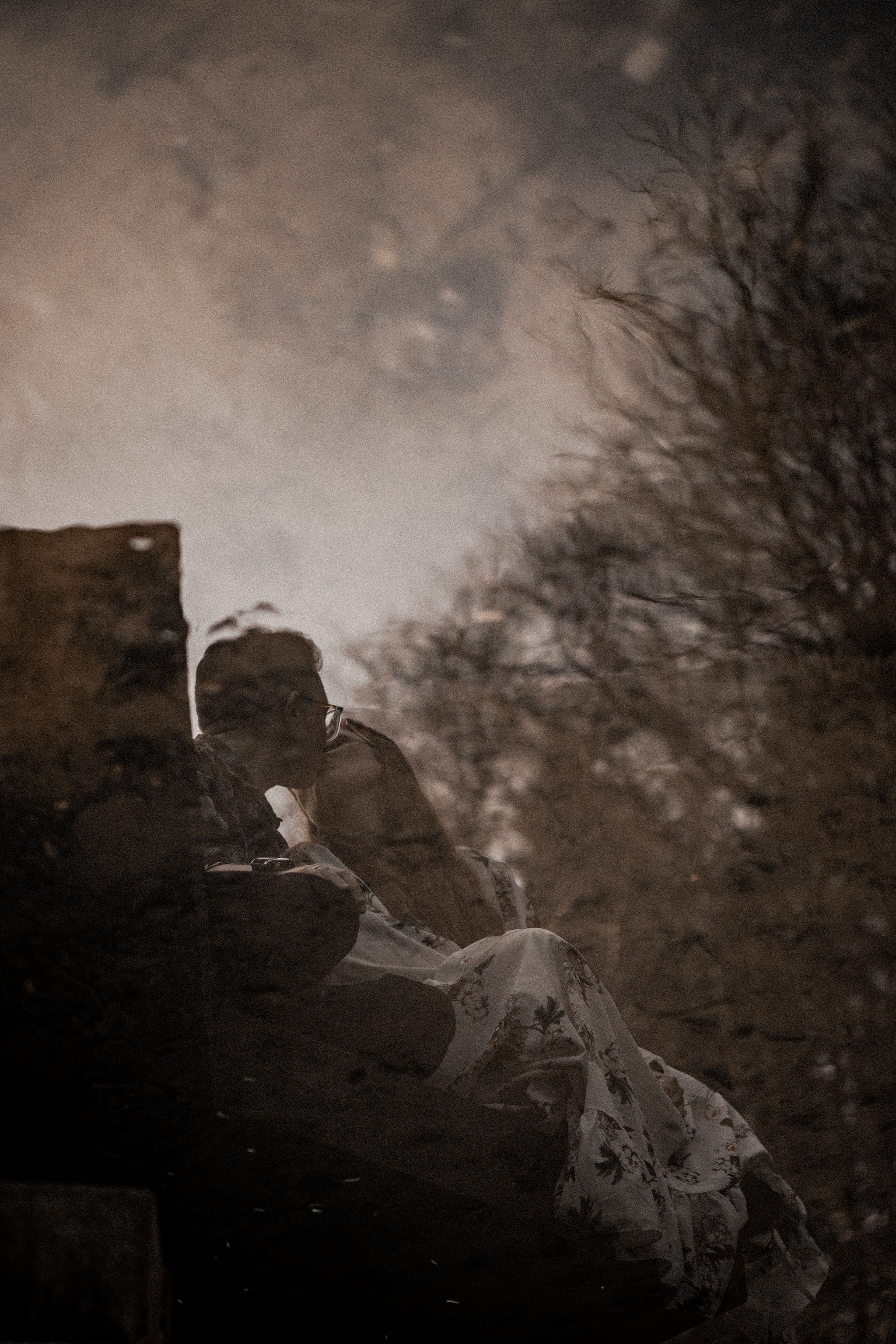 Dark silhouettes of bare tree branches against a moody sky with ethereal smoke or fog effects.