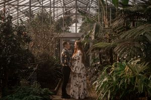 Greenhouse interior with lush tropical plants and hanging vines creating a serene botanical atmosphere.