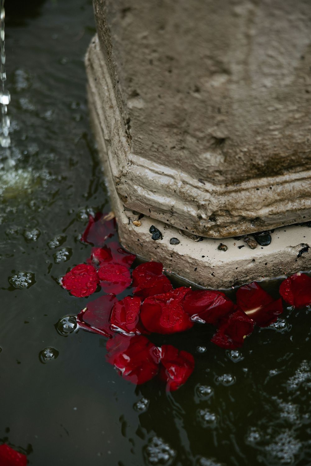 Red rose petals floating in water beside a stone fountain base with water droplets splashing around them.