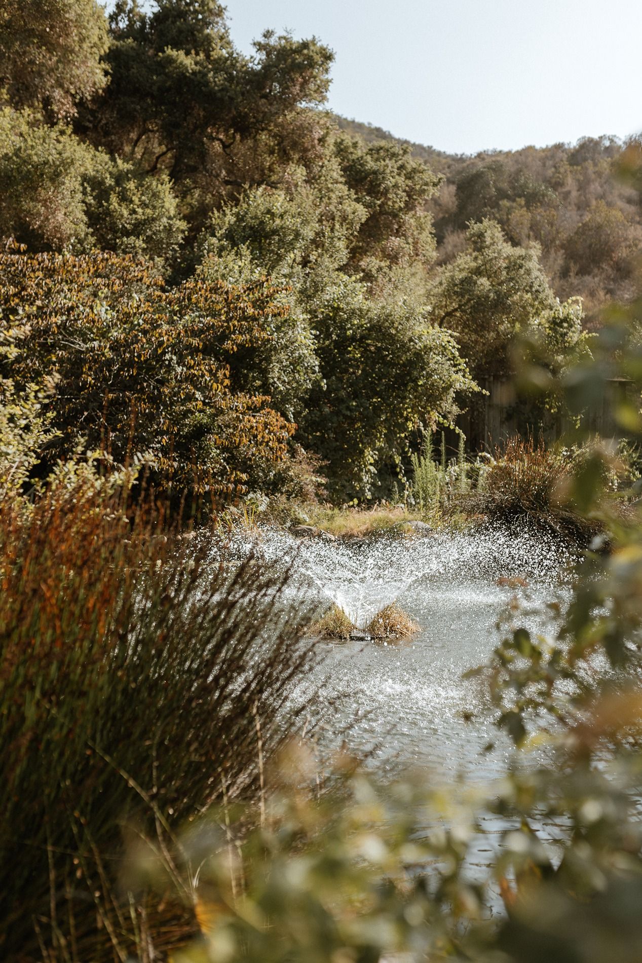 A serene natural pond surrounded by lush green and autumn-hued shrubs with a gentle water splash in a wooded landscape.