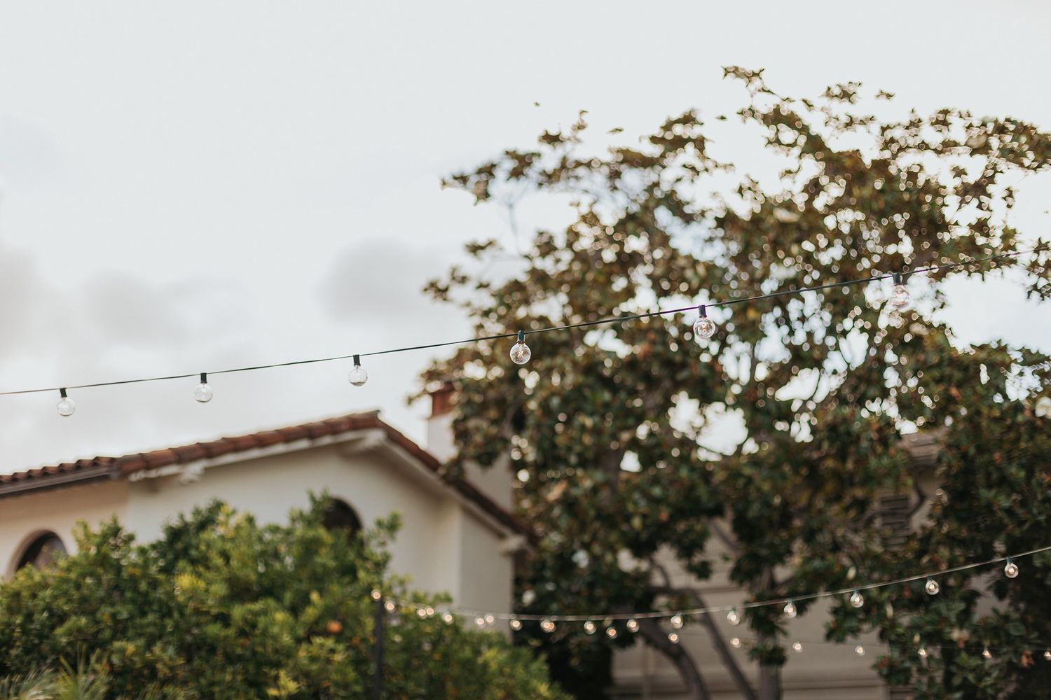 String lights hang between trees near a Mediterranean-style home with terracotta roof tiles on an overcast day at Darlington House.
