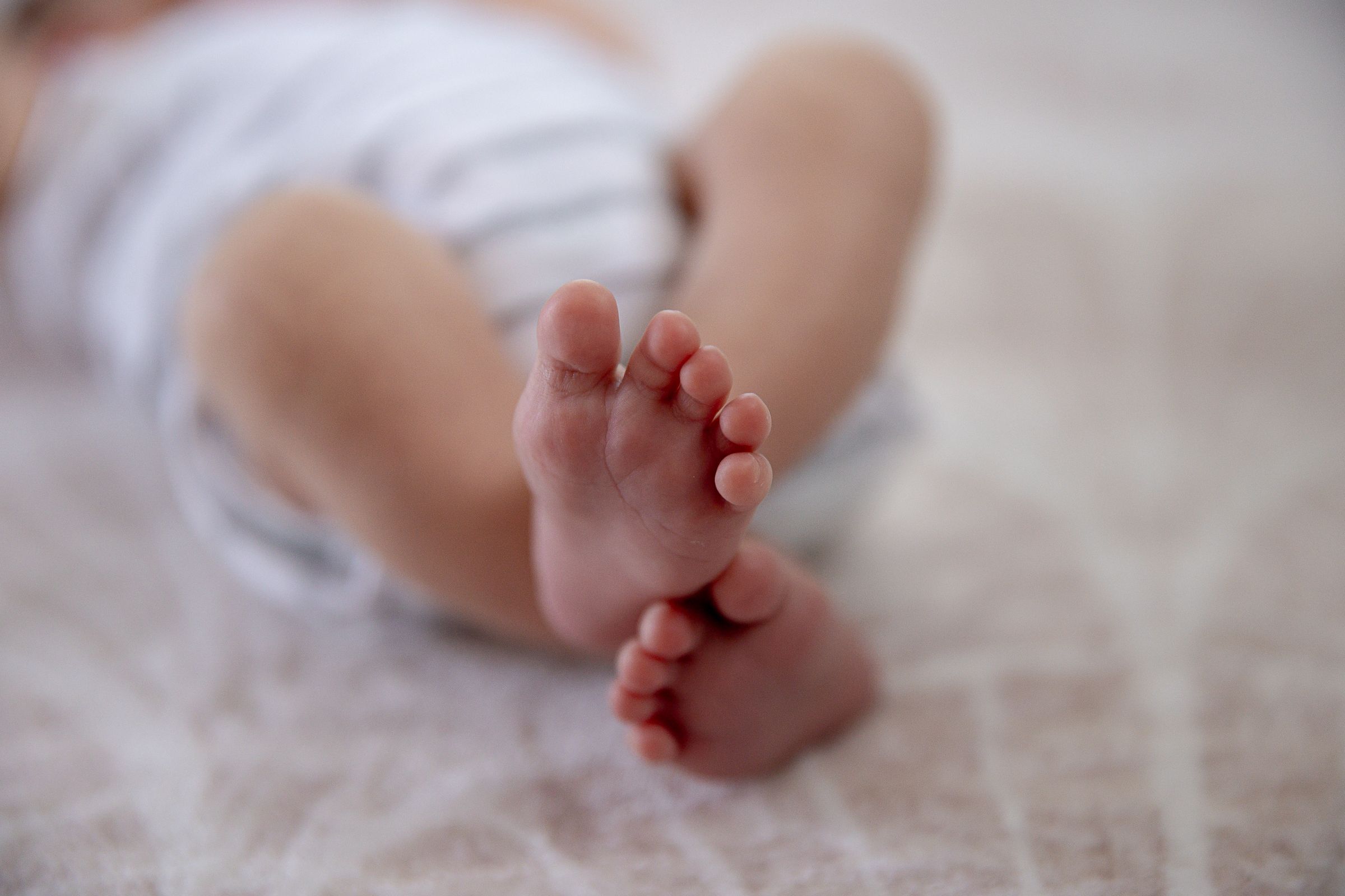 Close up of new born's feet at new born professional photo shoot