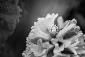 A sparkling diamond engagement ring nestled in the petals of a delicate white flower, captured in black and white.
