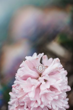 A sparkling diamond engagement ring nestled in delicate pink flower petals.