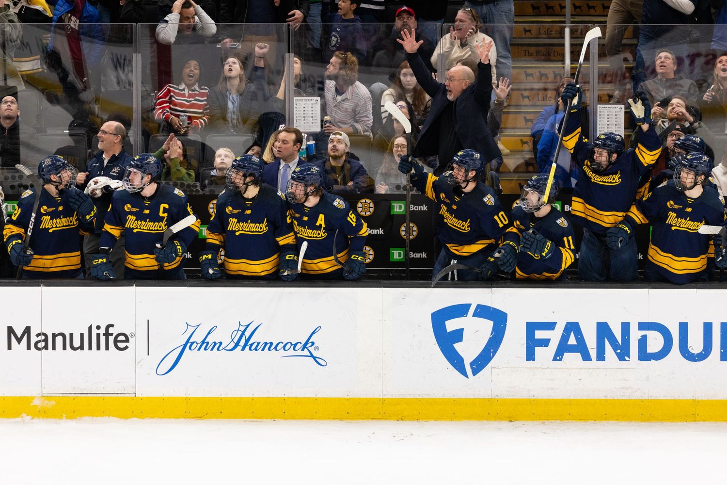 Crowd of hockey fans cheer from stadium seats during championship game.