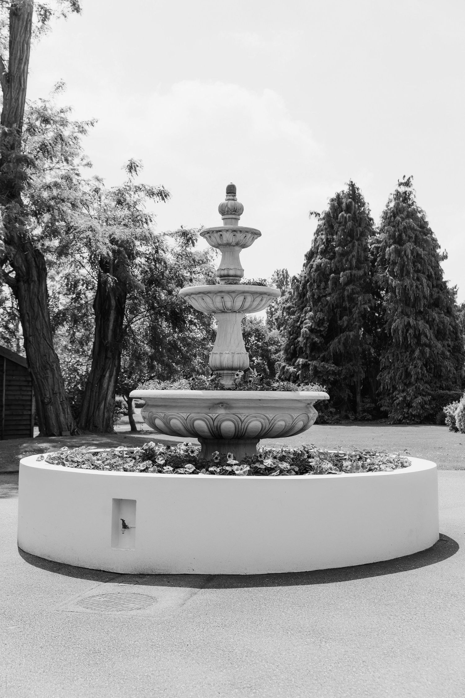 Classic white stone fountain in a formal garden setting with evergreen trees in black and white.