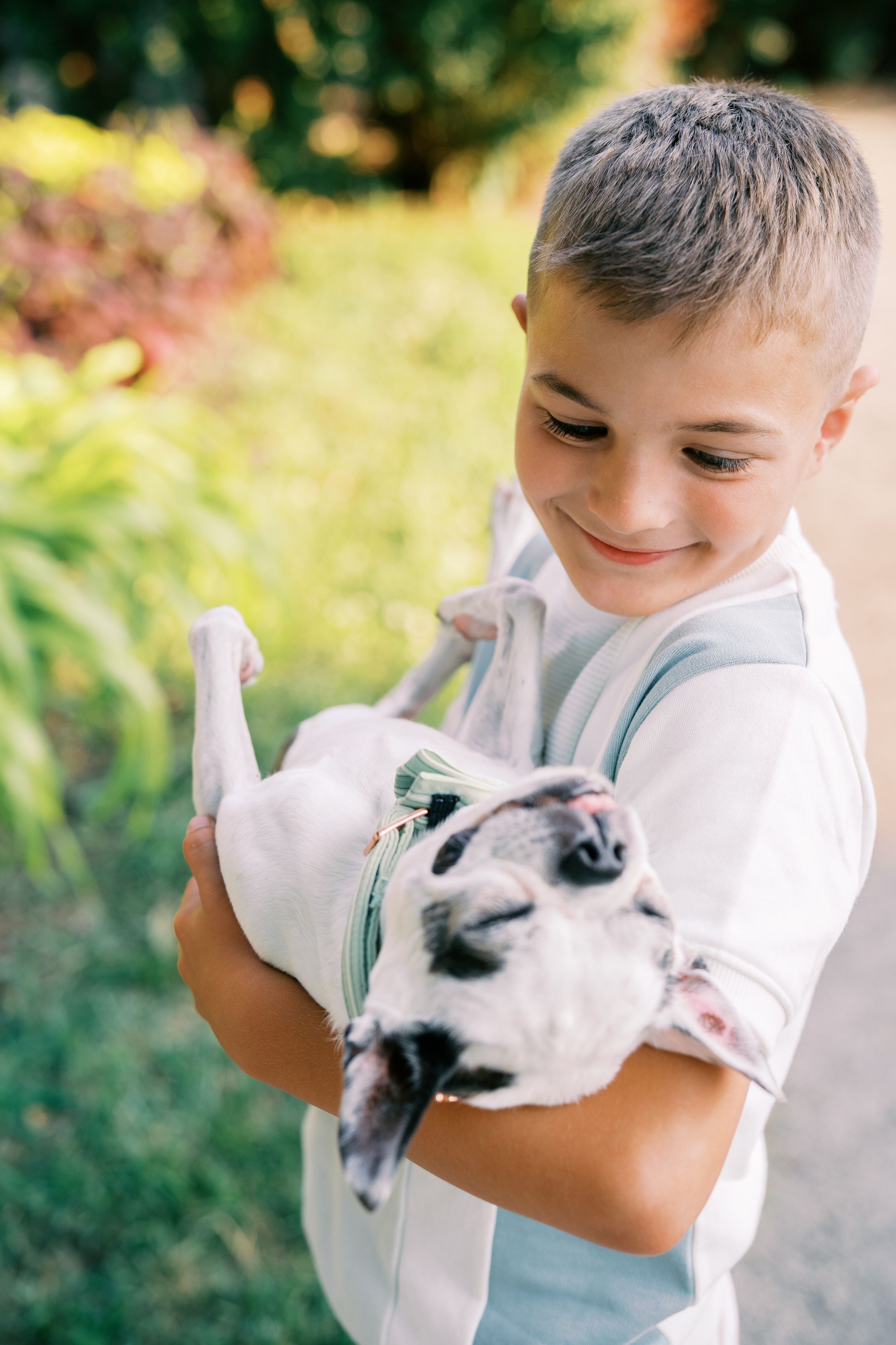A series of photos showing a young child in a white shirt holding and playing with a small white bunny rabbit.