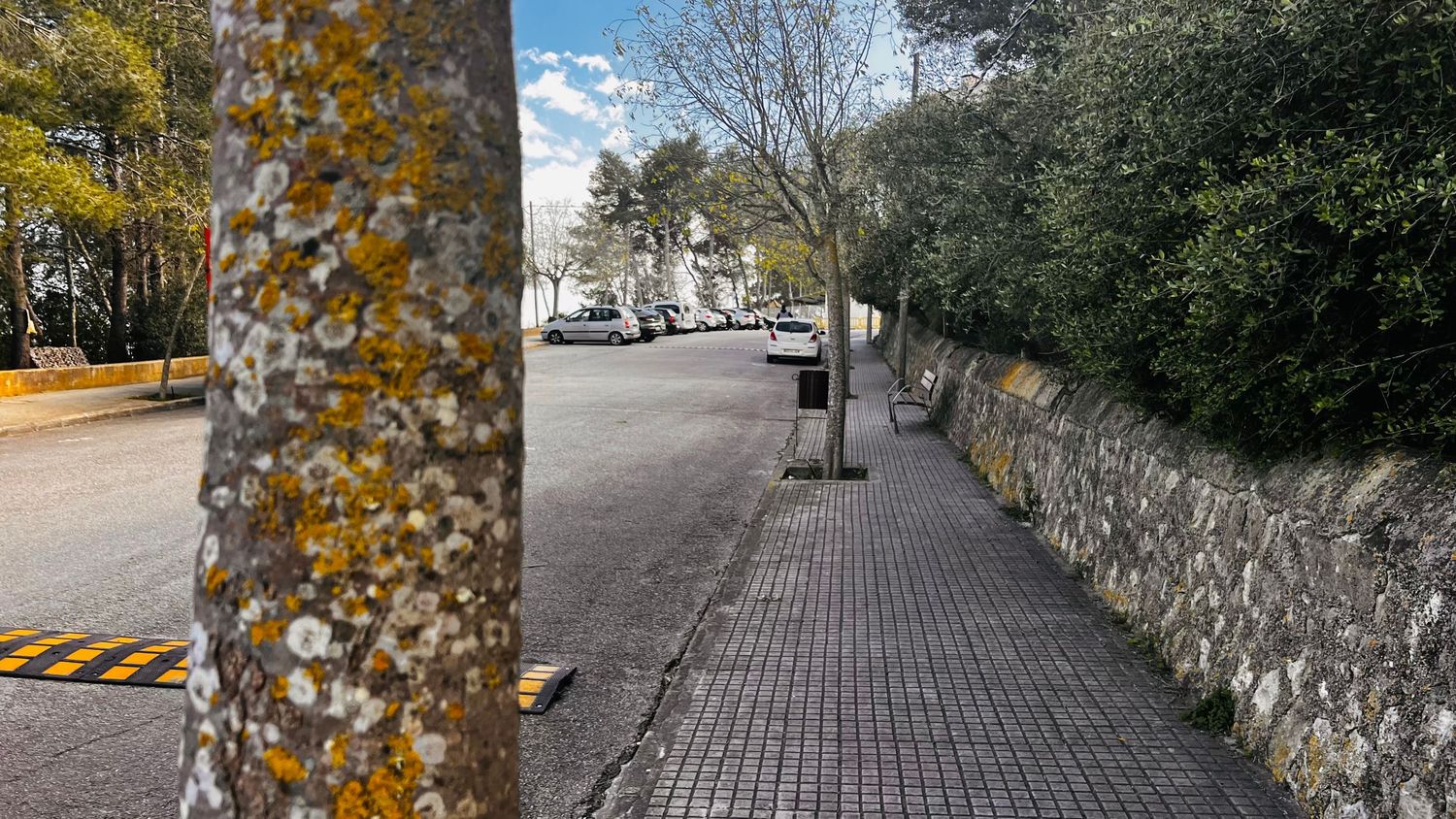 A paved walkway lined with a stone wall and trees in a city environment.