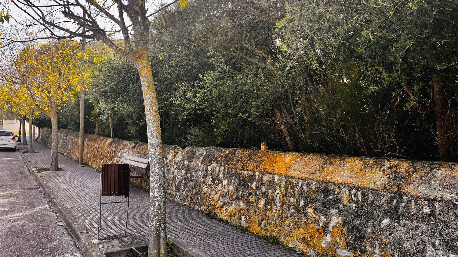 A winding path lined with trees and stone walls in a lush, natural setting.