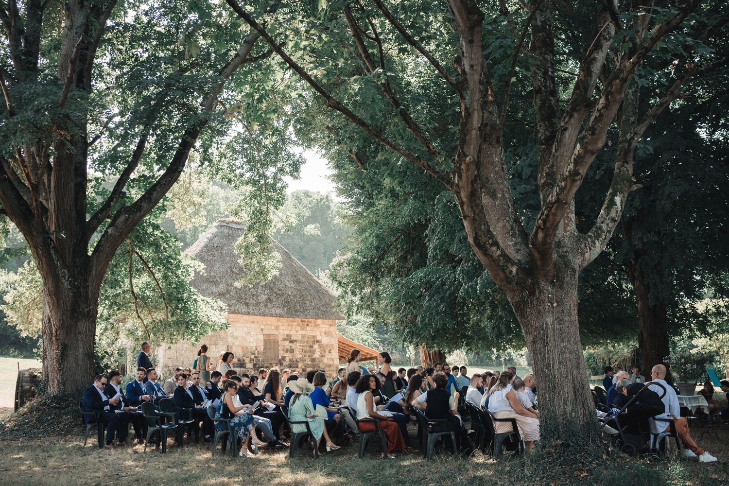 Outdoor wedding ceremony setup with rows of chairs under tall trees.