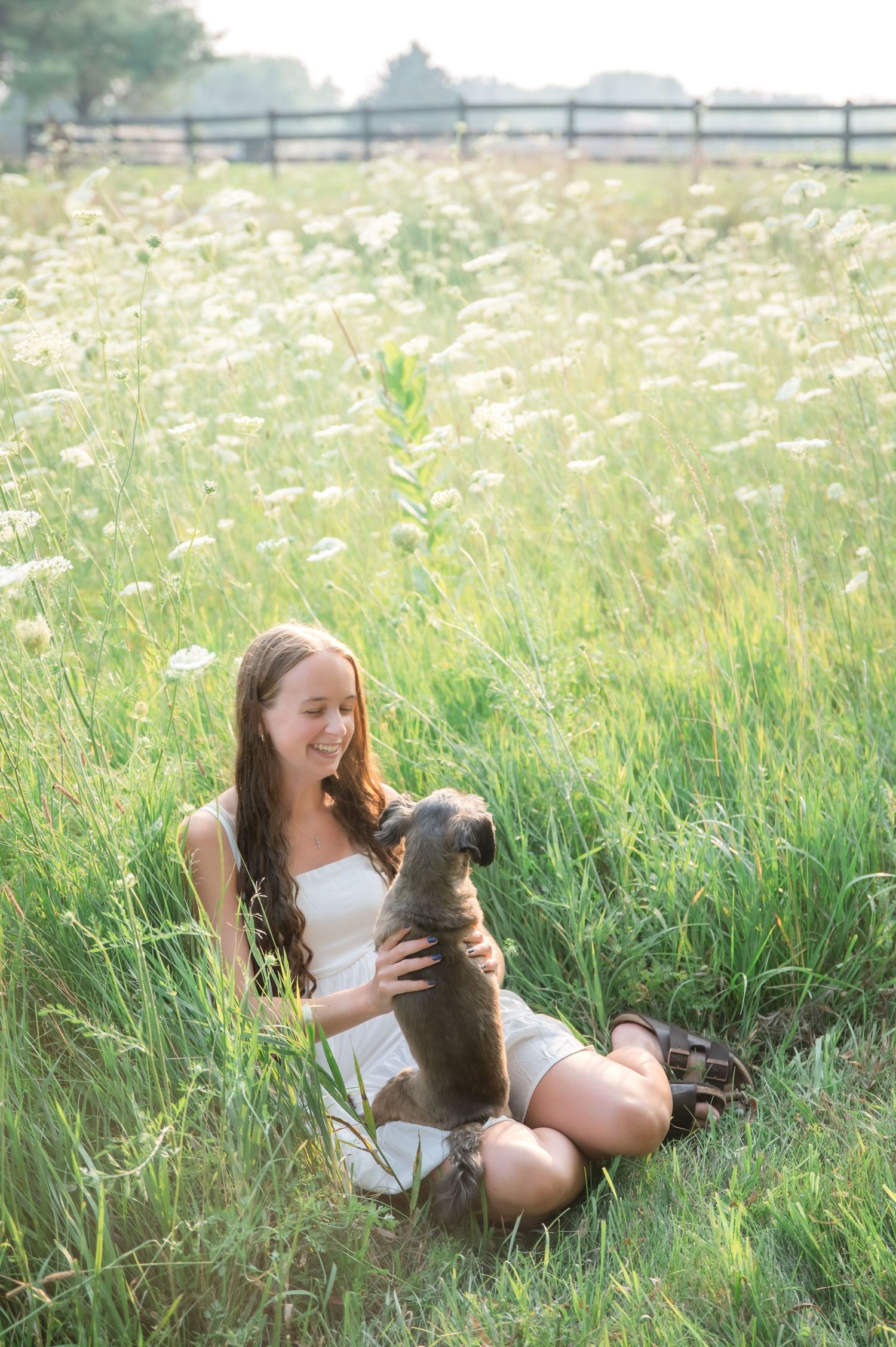 A child plays and rolls in tall summer grass with a gray cat in a series of candid outdoor photos.