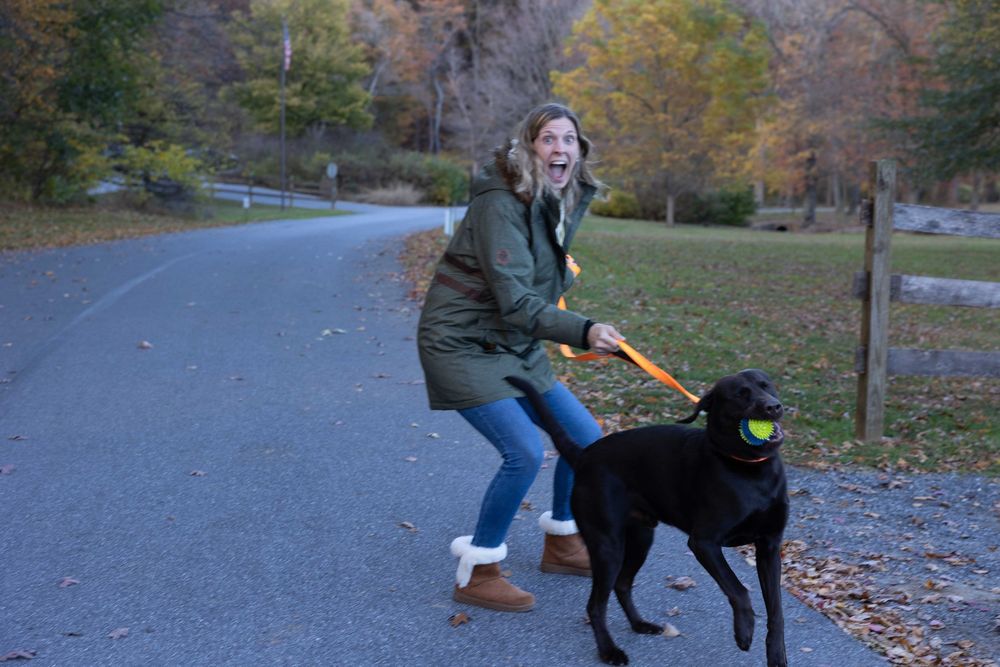 A person in a green winter coat walks a black labrador retriever on a winding autumn road surrounded by fall foliage.
