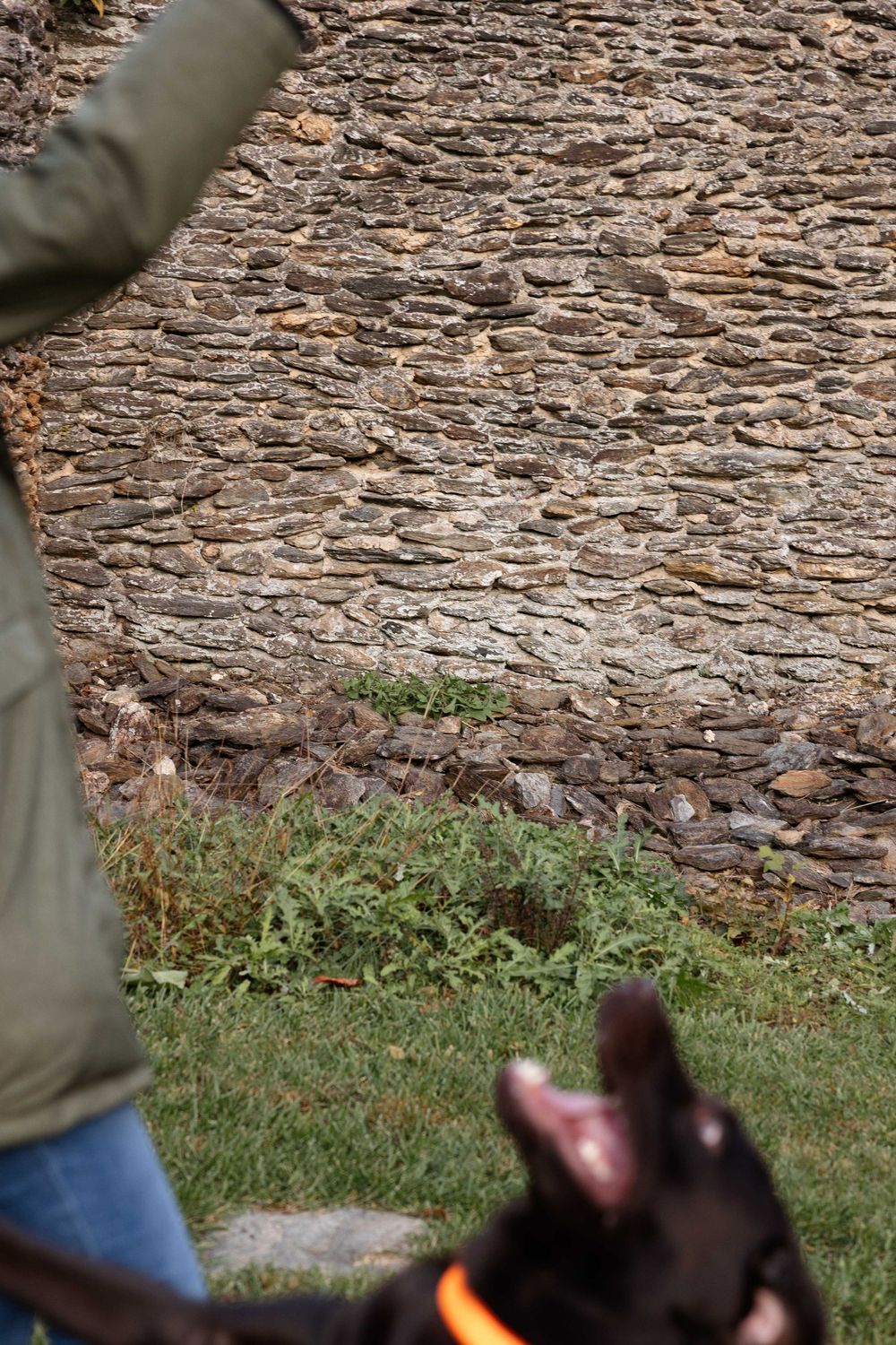 Stone wall texture with green grass growing at its base showing weathered natural construction materials.