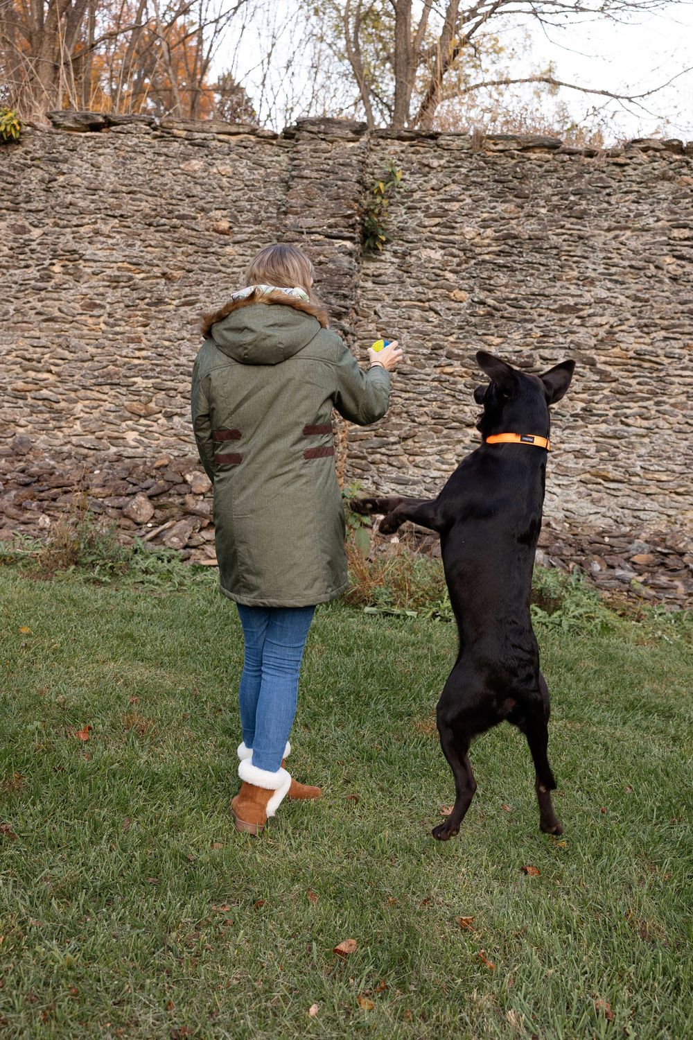 A black dog and person in a green jacket playfully dance together on a grassy lawn near a stone wall.