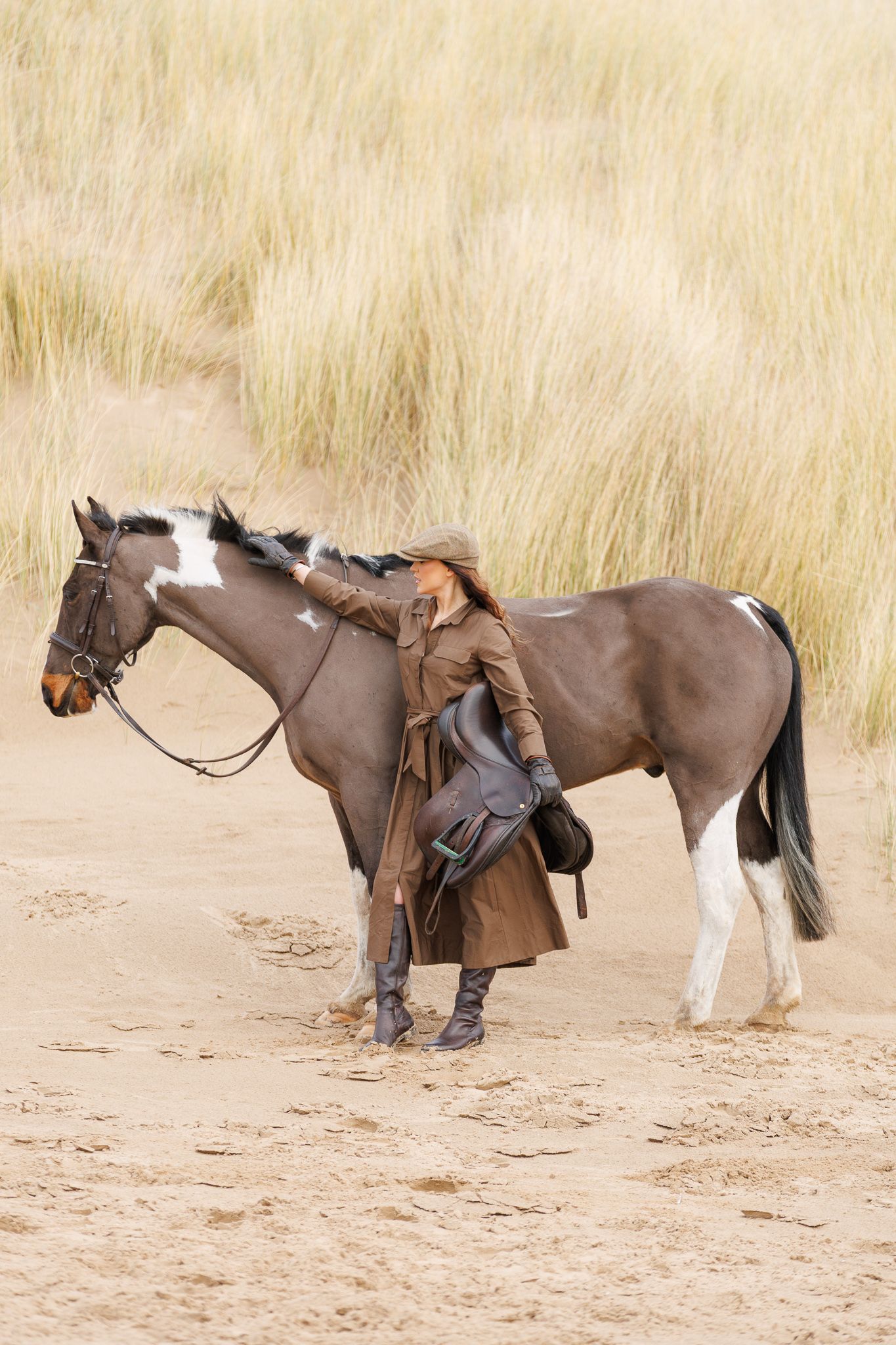 Three brown horses with saddles standing in a row on sandy ground with tall golden grass in the background.