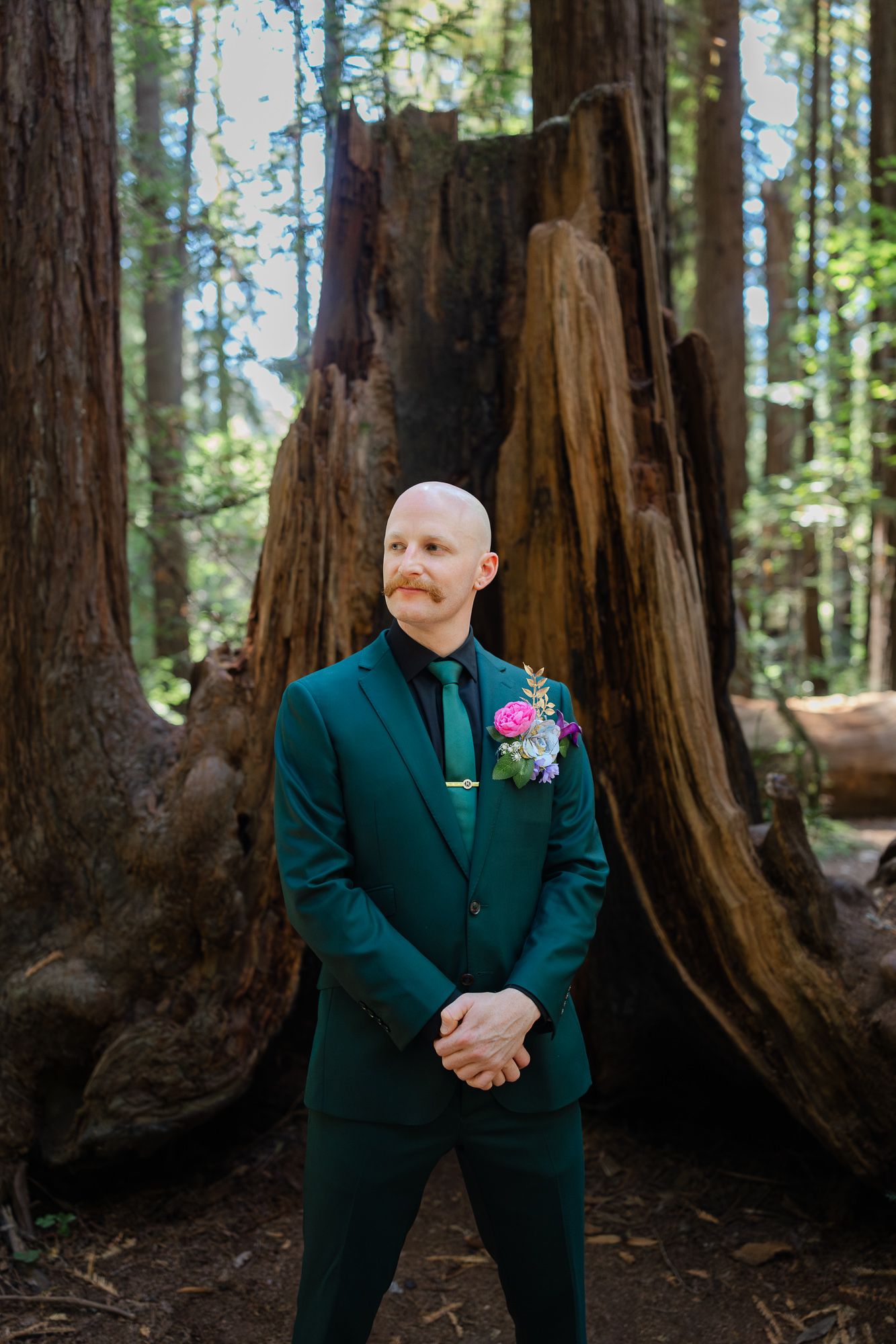 A person in a navy suit poses among towering redwood trees in a forest setting.