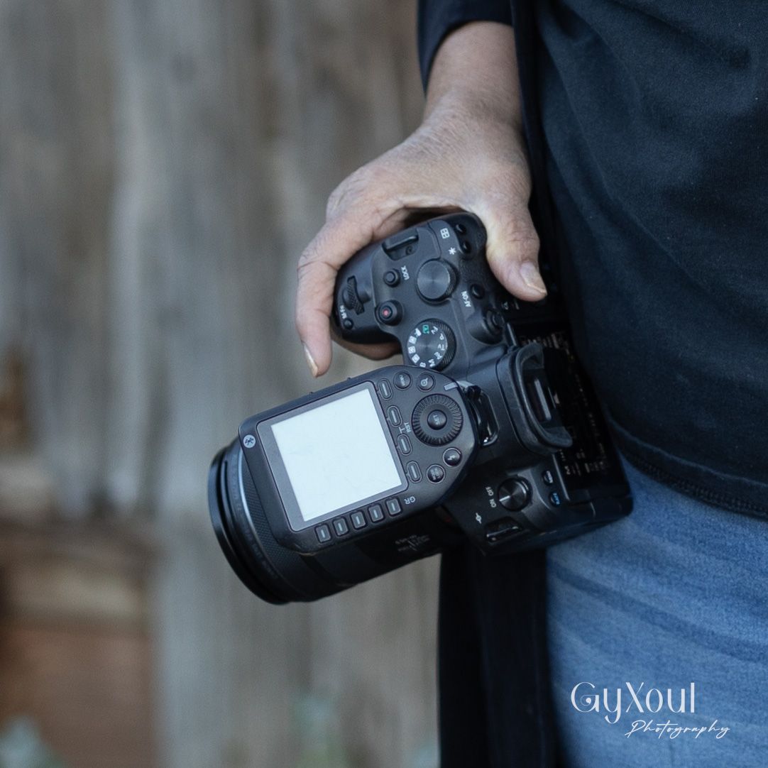 Close-up of hands holding a professional DSLR camera with display screen visible.