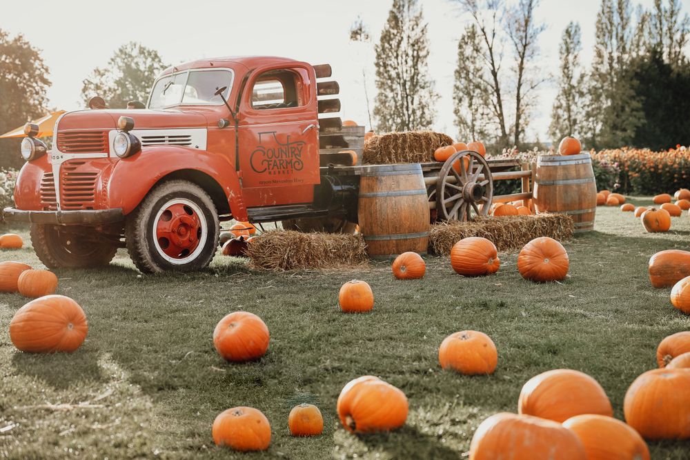 Vintage red pickup truck surrounded by pumpkins at an autumn harvest display.
