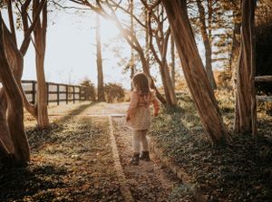 A child walking alone on a sunlit forest path between tall trees.