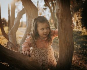 A child playing and climbing on tree branches in warm golden sunlight.