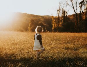 A small figure stands in a misty golden field during sunset with trees in the background.