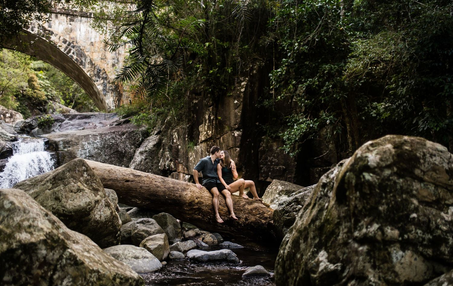 Scenic forest creek with flowing water over rocks and fallen logs in natural setting.