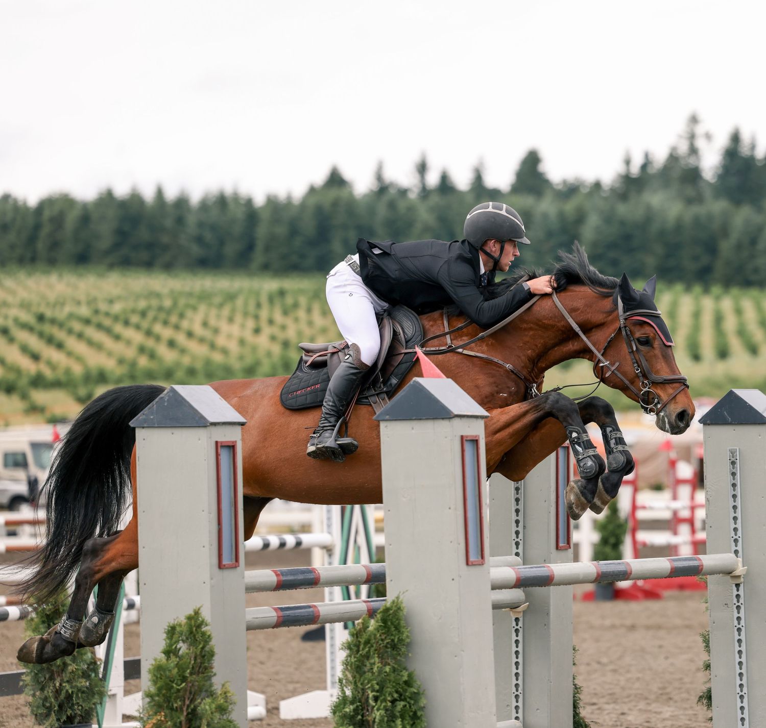 Rider in a jumper classic at Team Northwest horse show in Wilsonville Oregon Copyright Amanda Barr Photography