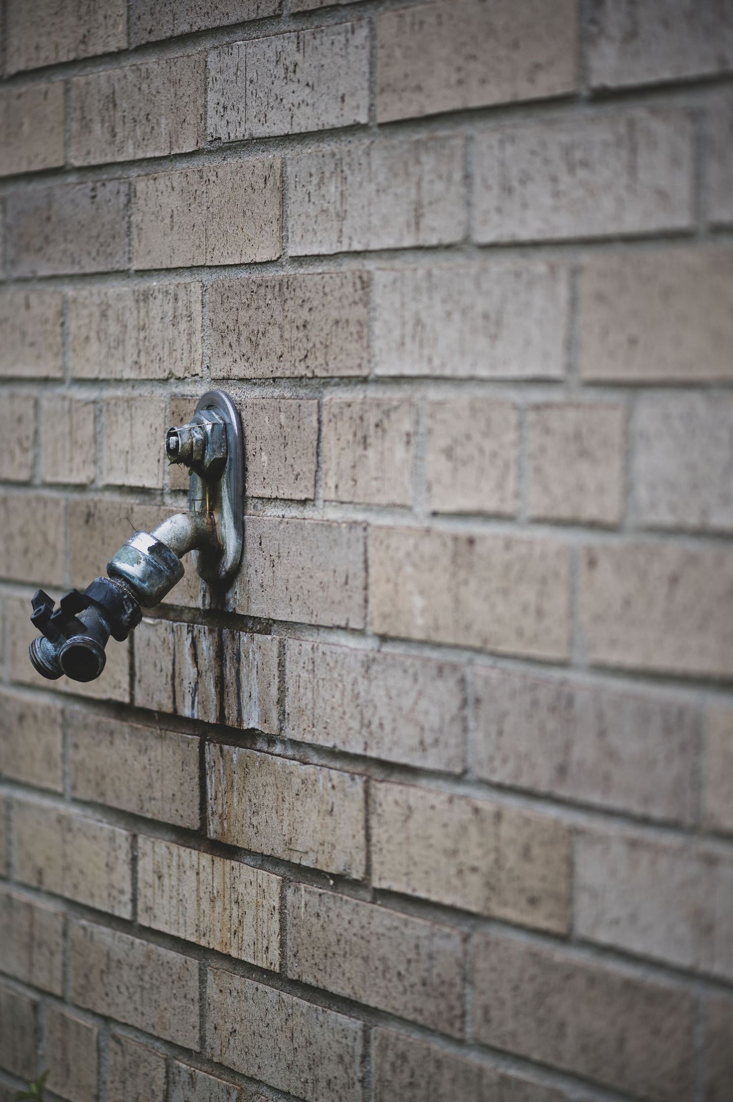An outdoor water spigot mounted on a brick wall with dramatic shallow depth of field.