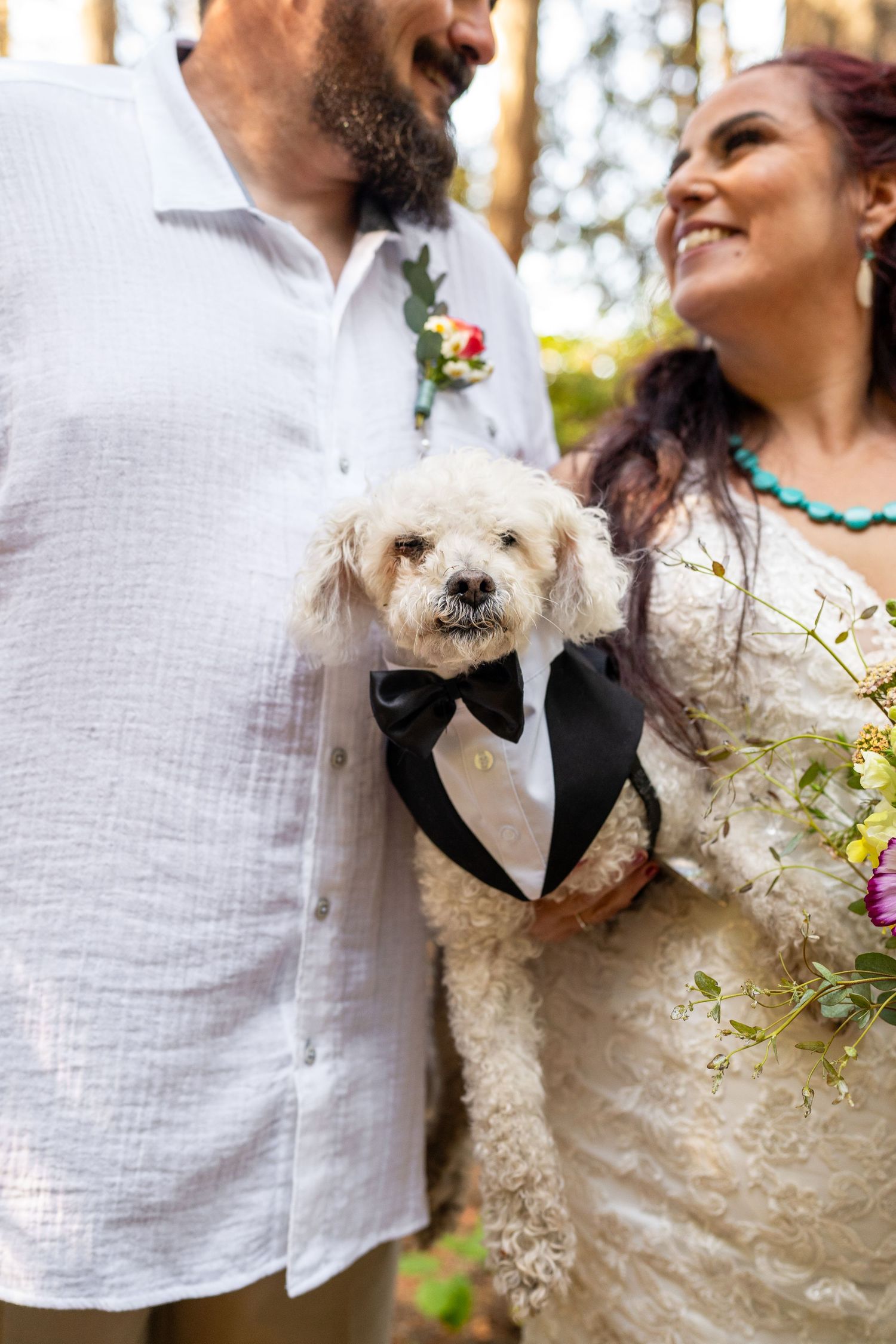 Small white dog wearing tuxedo bowtie poses between couple at outdoor wedding.