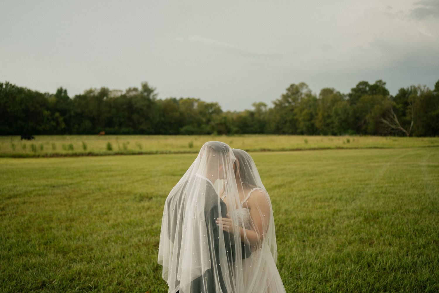 Bride and groom embrace in a sunlit field under a flowing veil on their wedding day.